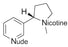 Nude Nicotine Molecule 321x223