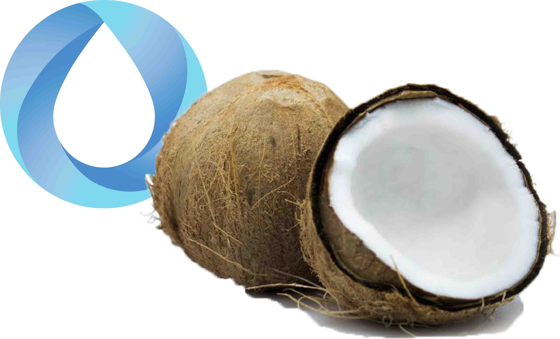 creamy coconut transparent final