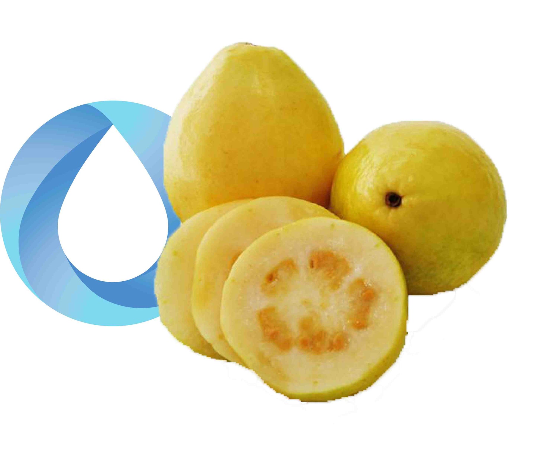 yellow guava transparent final